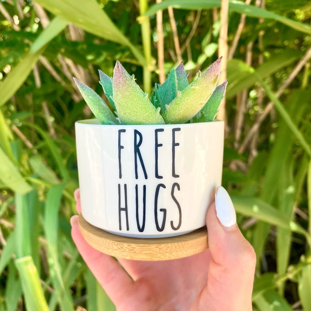 Succulent Planter